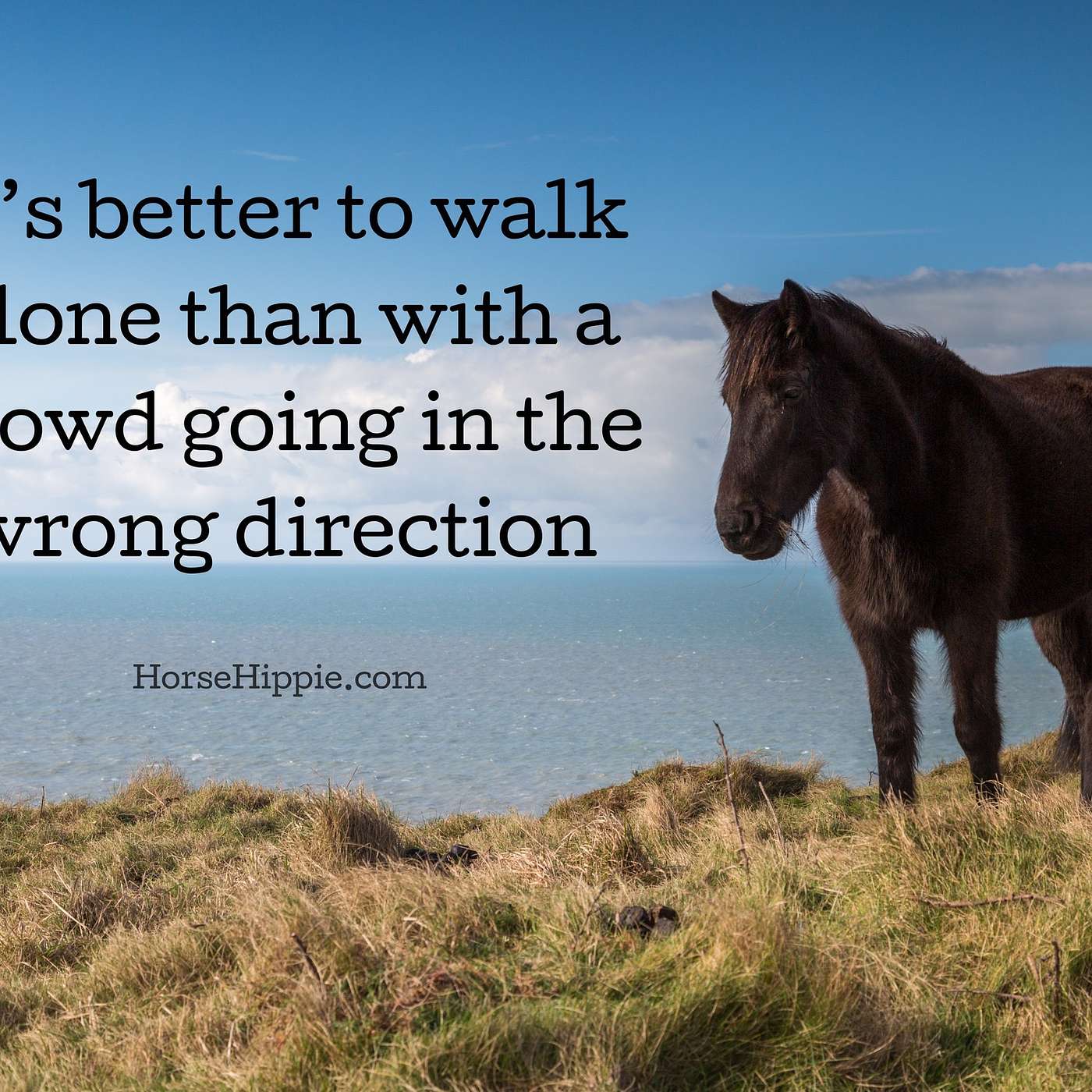 Better to Walk Alone