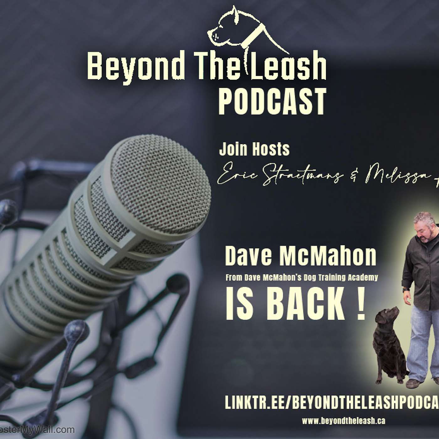 Beyond The Leash