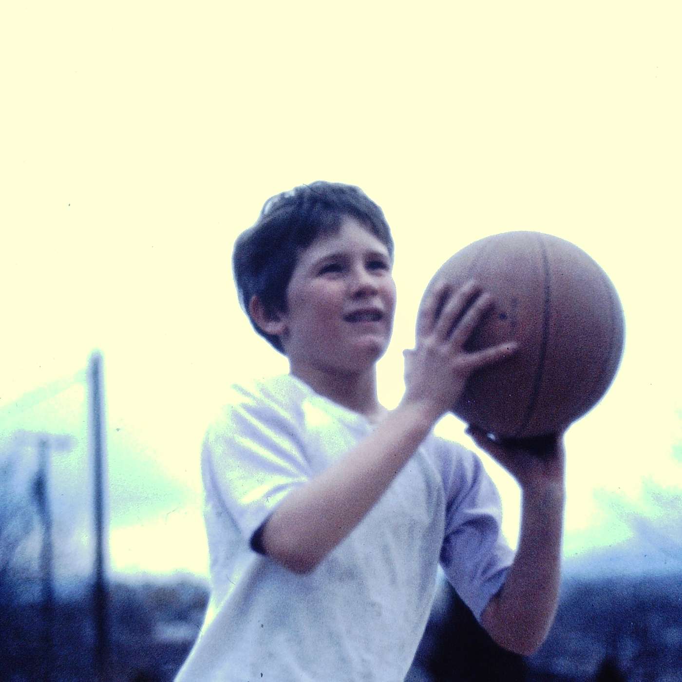 My Almost Dead Brother