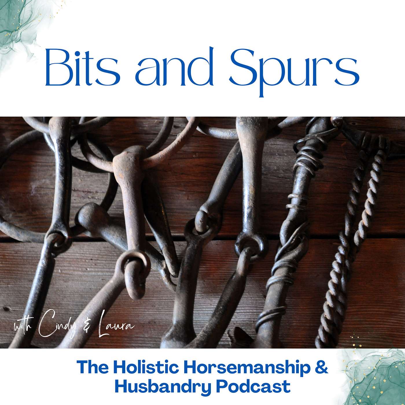 The Holistic Horsemanship and Husbandry Podcast