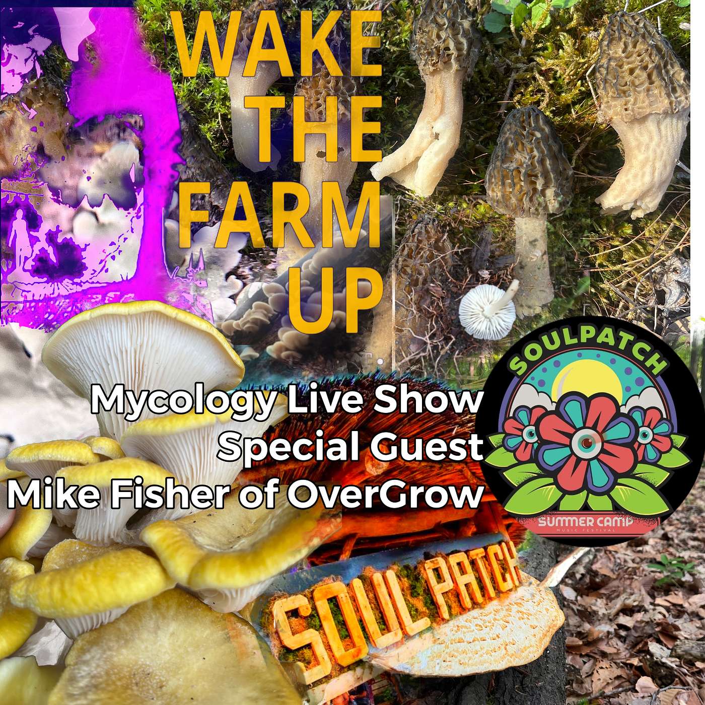 Wake The Farm Up! - Maintaining Ground