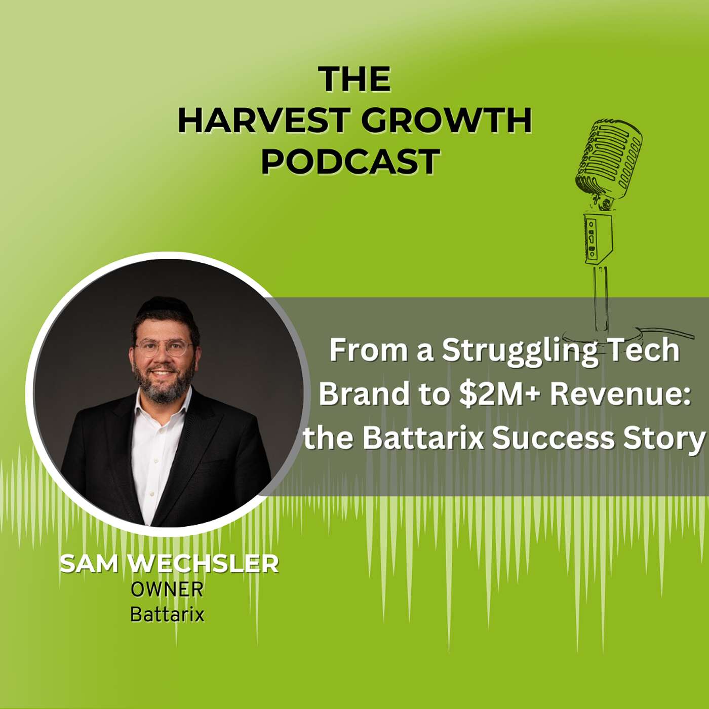 From a Struggling Tech Brand to $2M+ Revenue: the Battarix Success Story