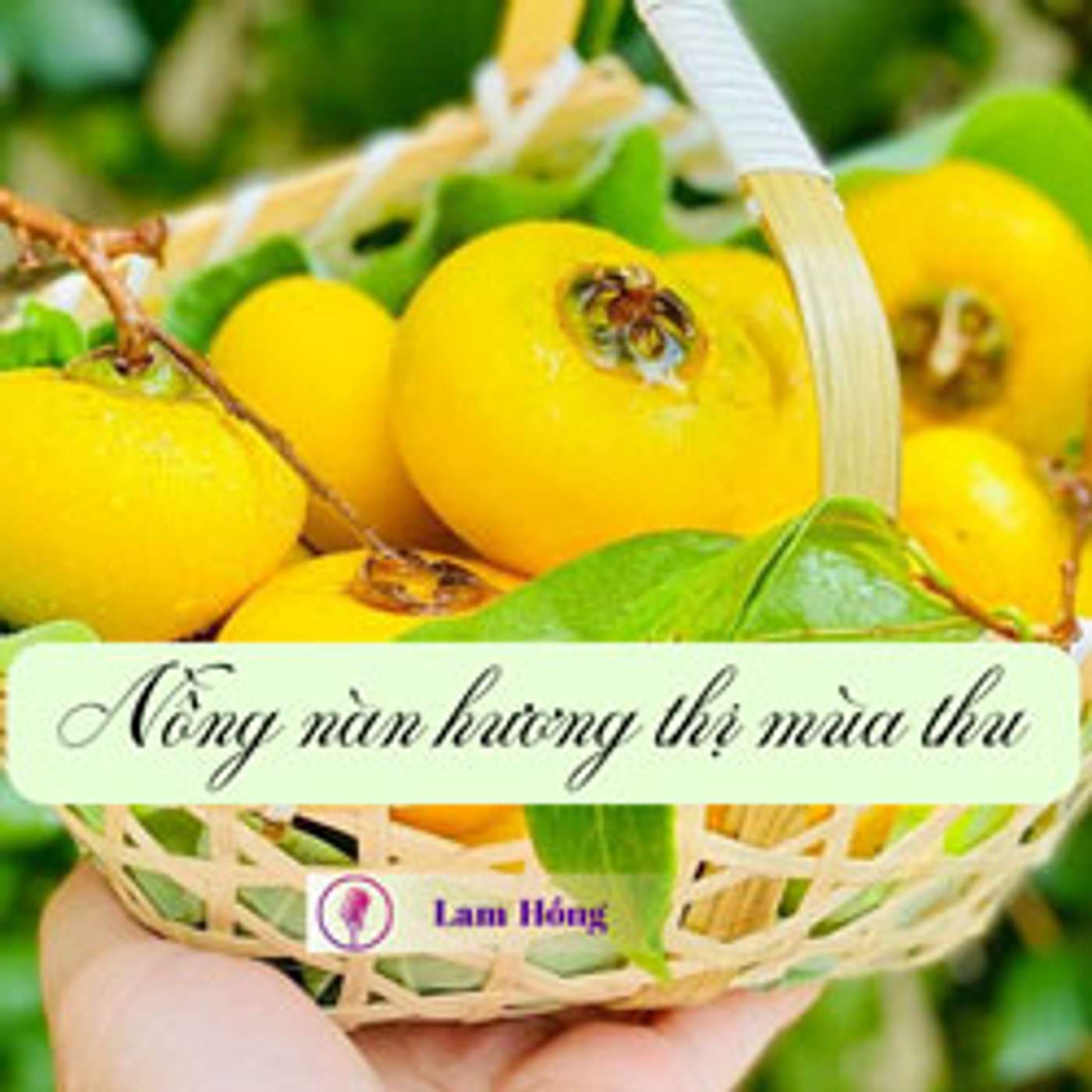 Nồng nàn hương thị mùa thu