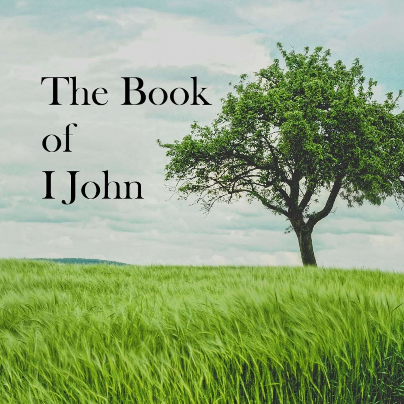 Introductory Thoughts for I John Expository Series - Part 4 episode artwork