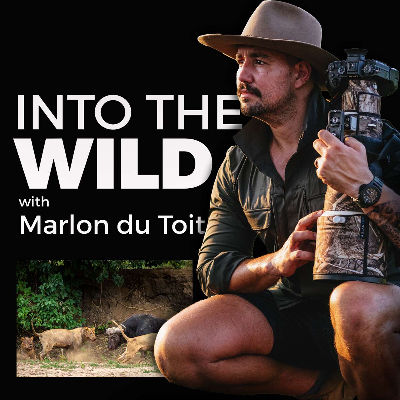 Should you take photos of graphic sightings in Nature? Should you take photos of graphic sightings in Nature?