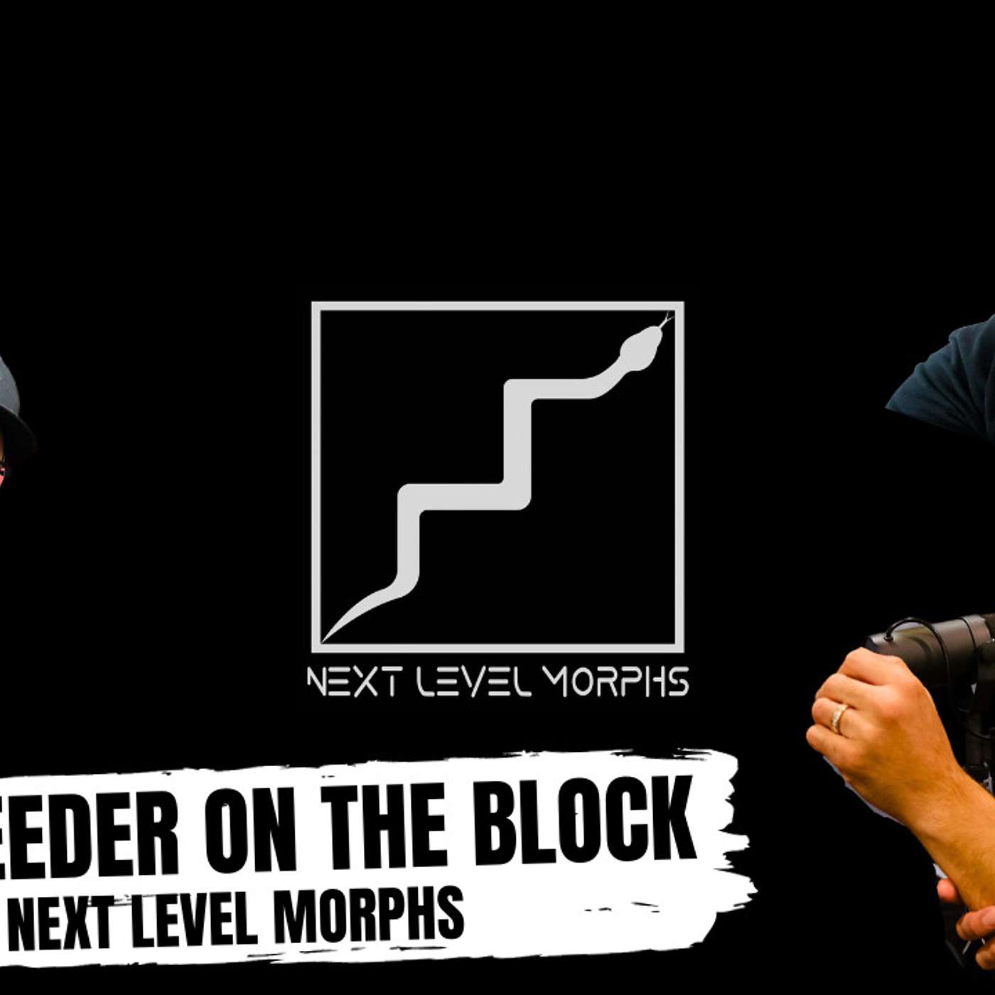 Tony goes over his next level Ball Python projects for 2024 | New Breeder On The Block