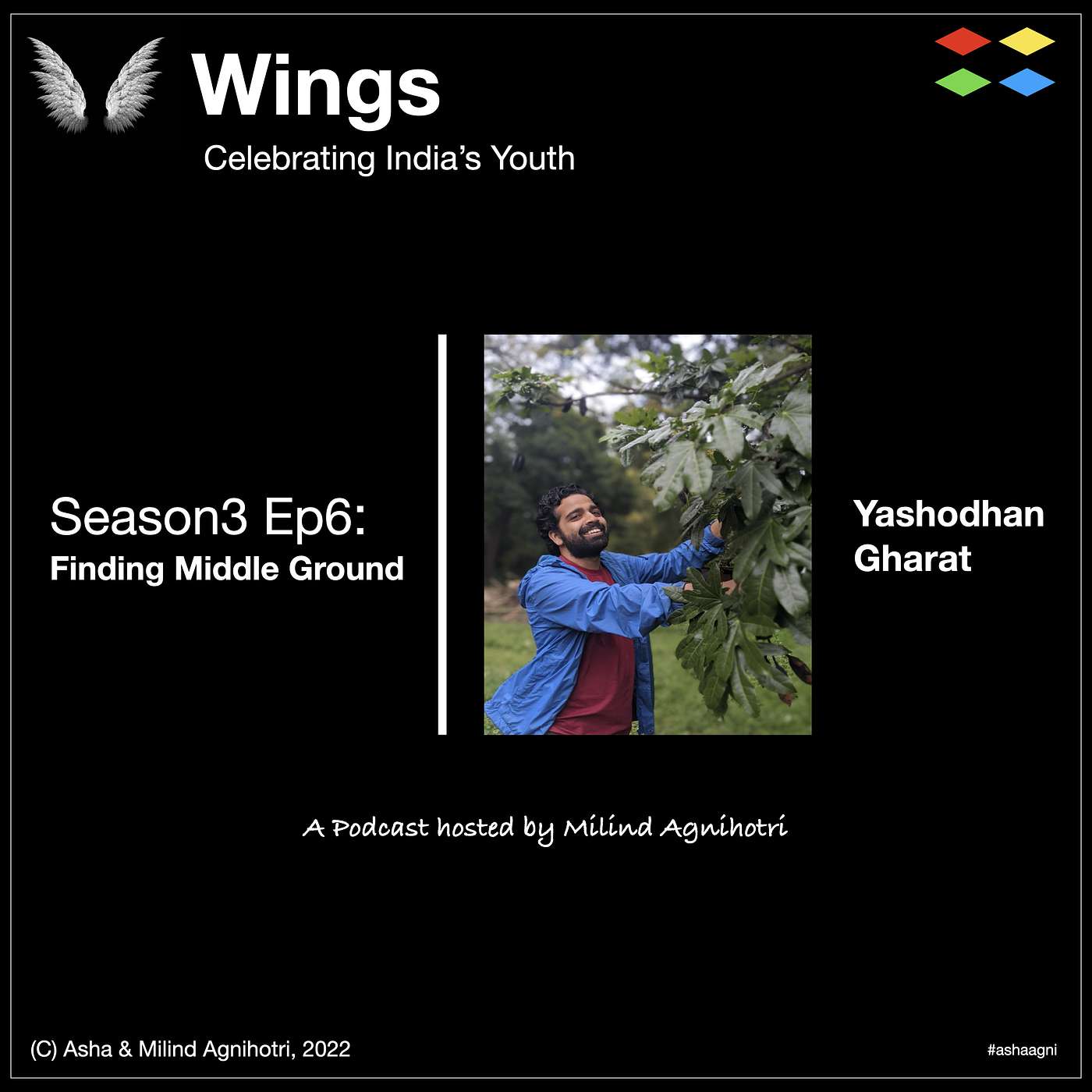 Wings