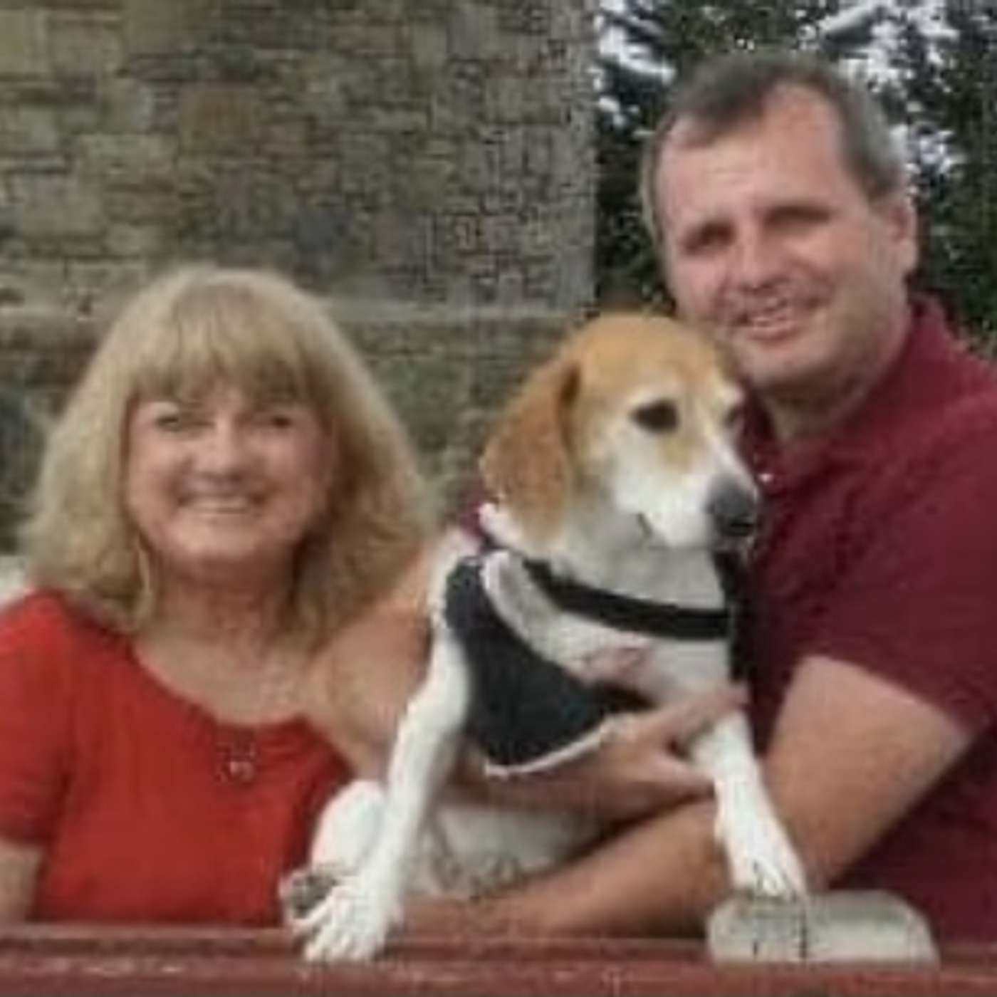 Elaine Cobb discusses conferences and symposiums coming up regarding estrangement versus Parental Alienation and what it does to children