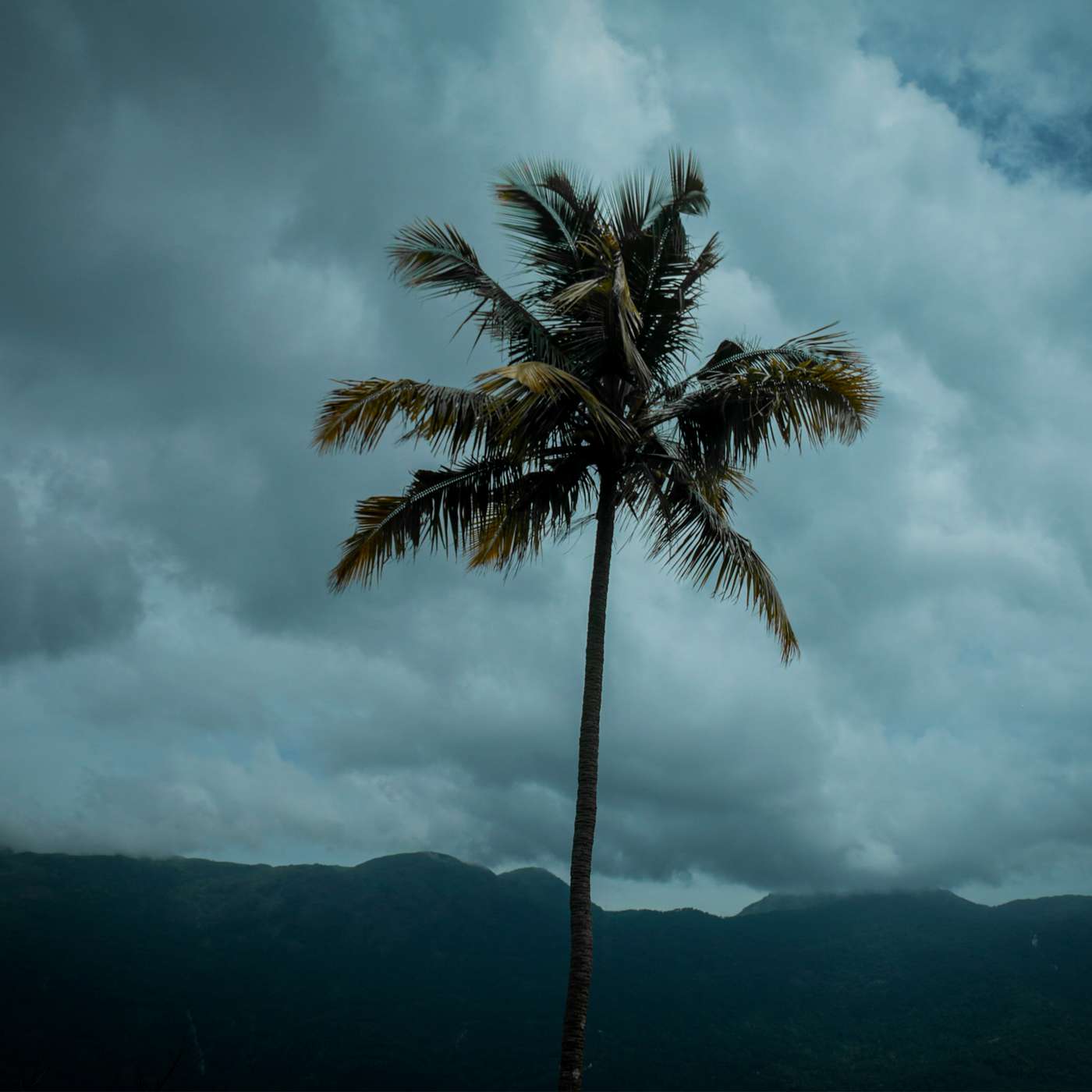 Fear vs. Faith on Hard Days: Part 1
