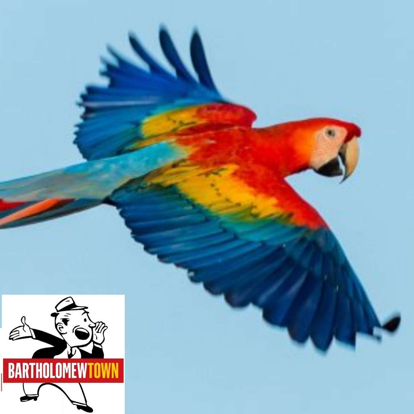 The RI Parrot Sanctuary Fire: Backstory and How You Can Help Foster Parrots