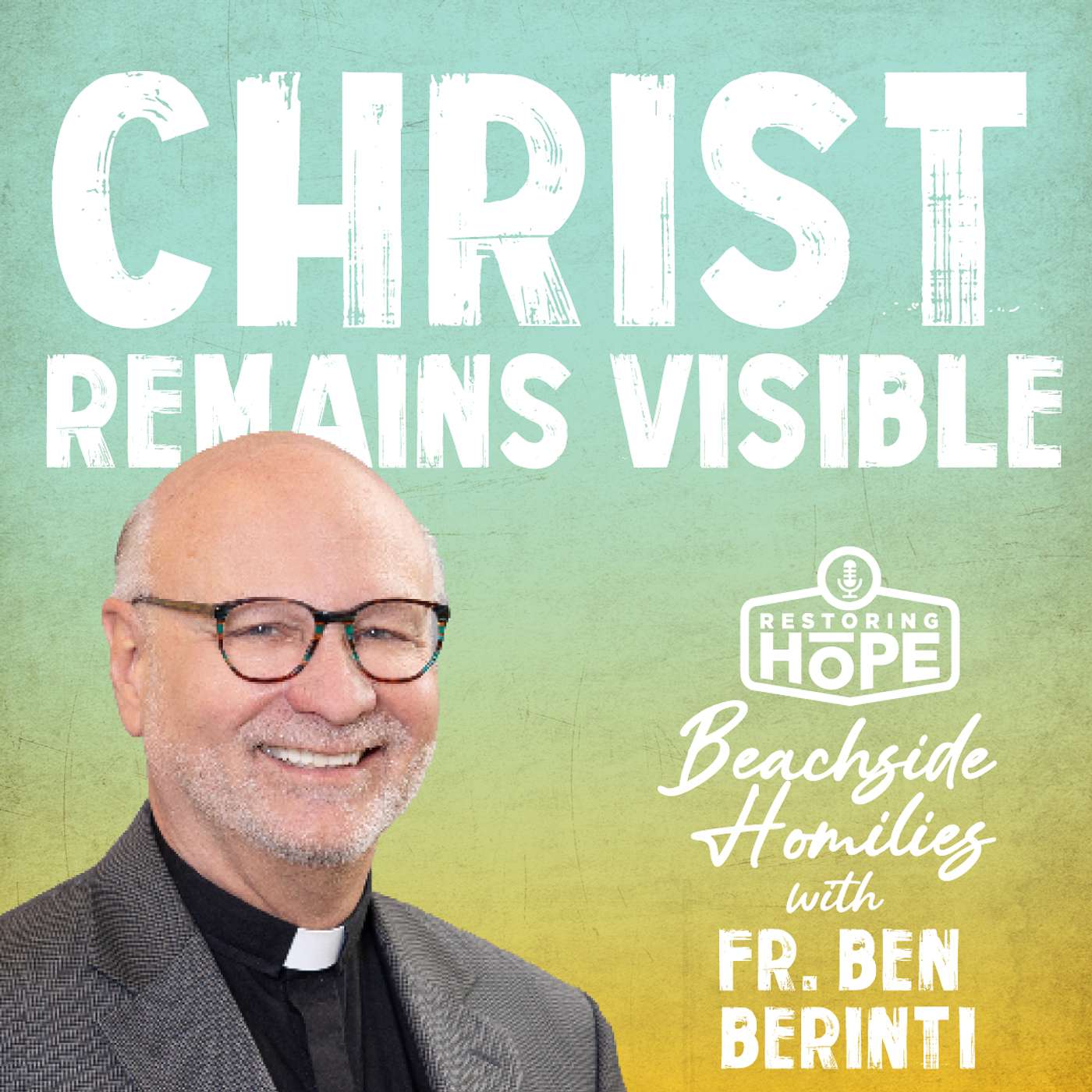 Christ Remains Visible - Beachside Homily with Fr. Ben Berinti episode artwork