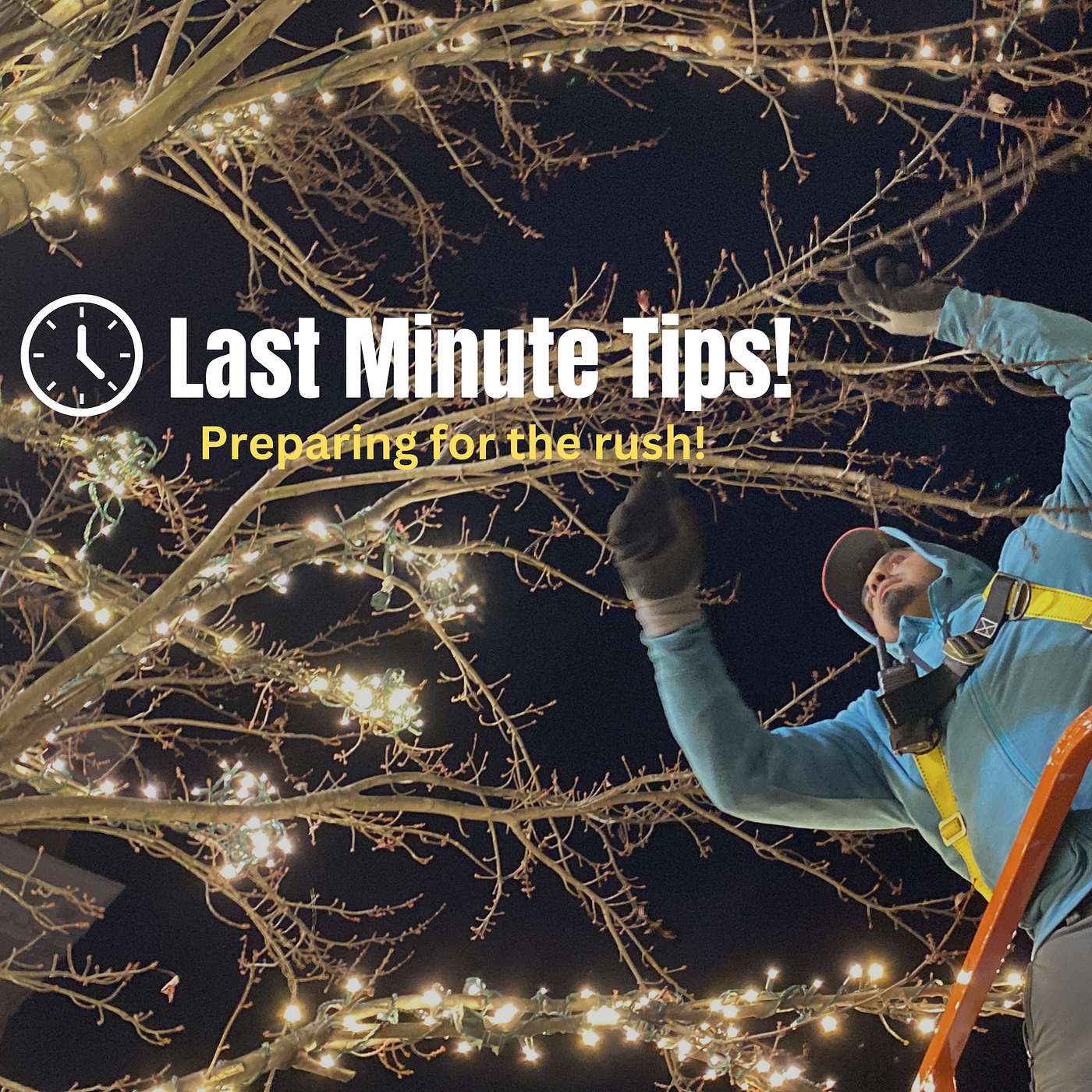 Last-Minute Tips to Prepare for Christmas Light Install Season! episode artwork