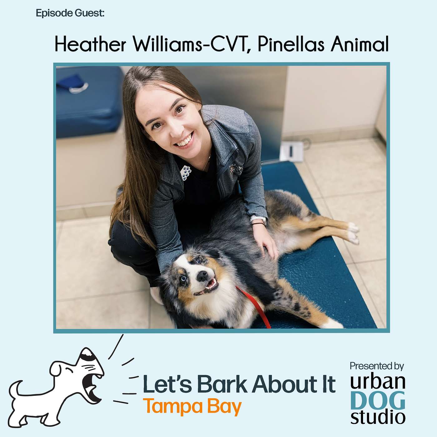 Let\'s Bark About It Tampa Bay!