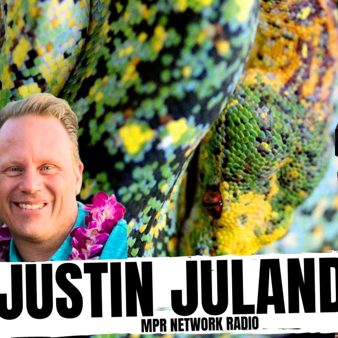 THE GREAT & POWERFUL JUSTIN JULANDER EPISODE | ALL IN THE TREE TUESDAY LIVE