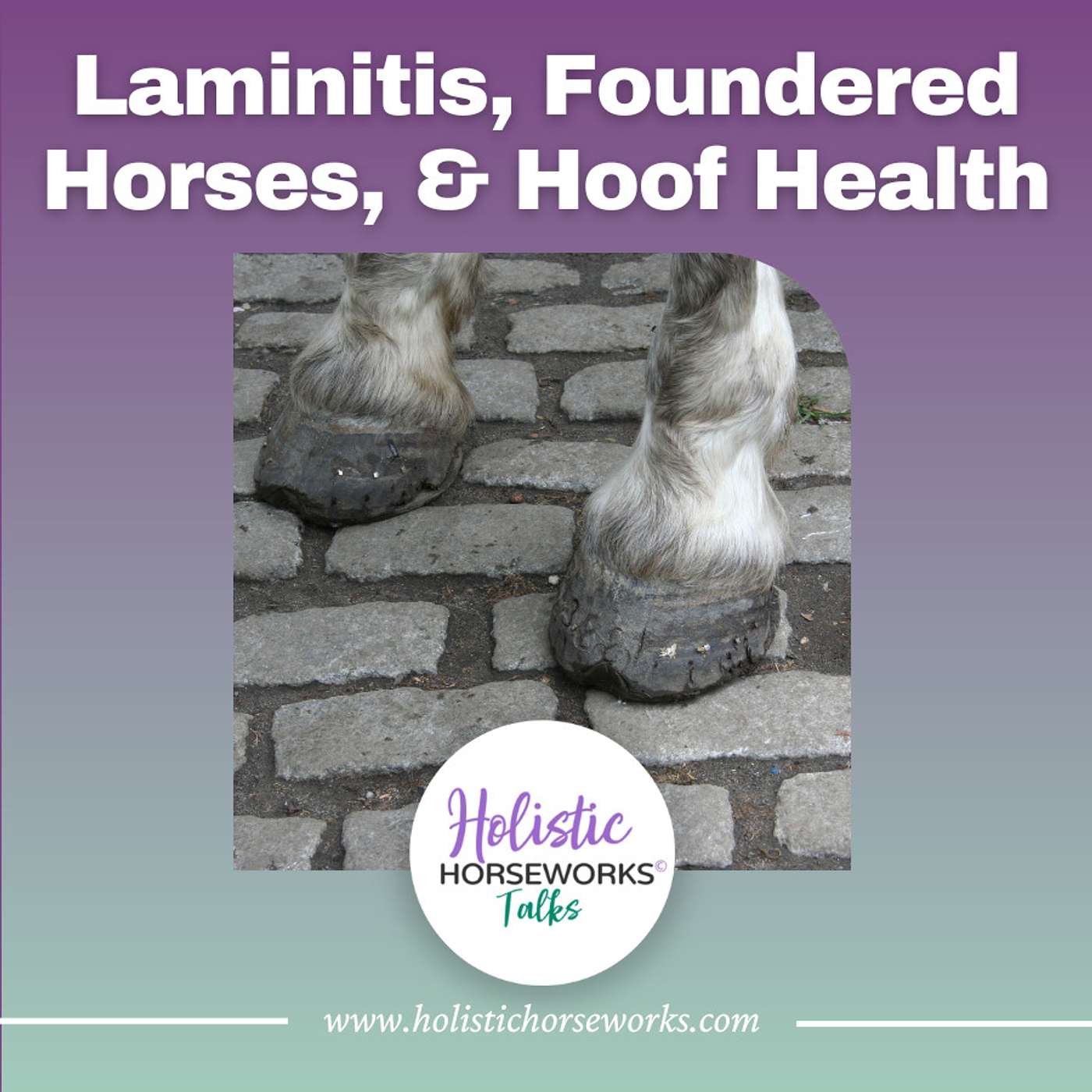 Holistic Horseworks Talks with April Love