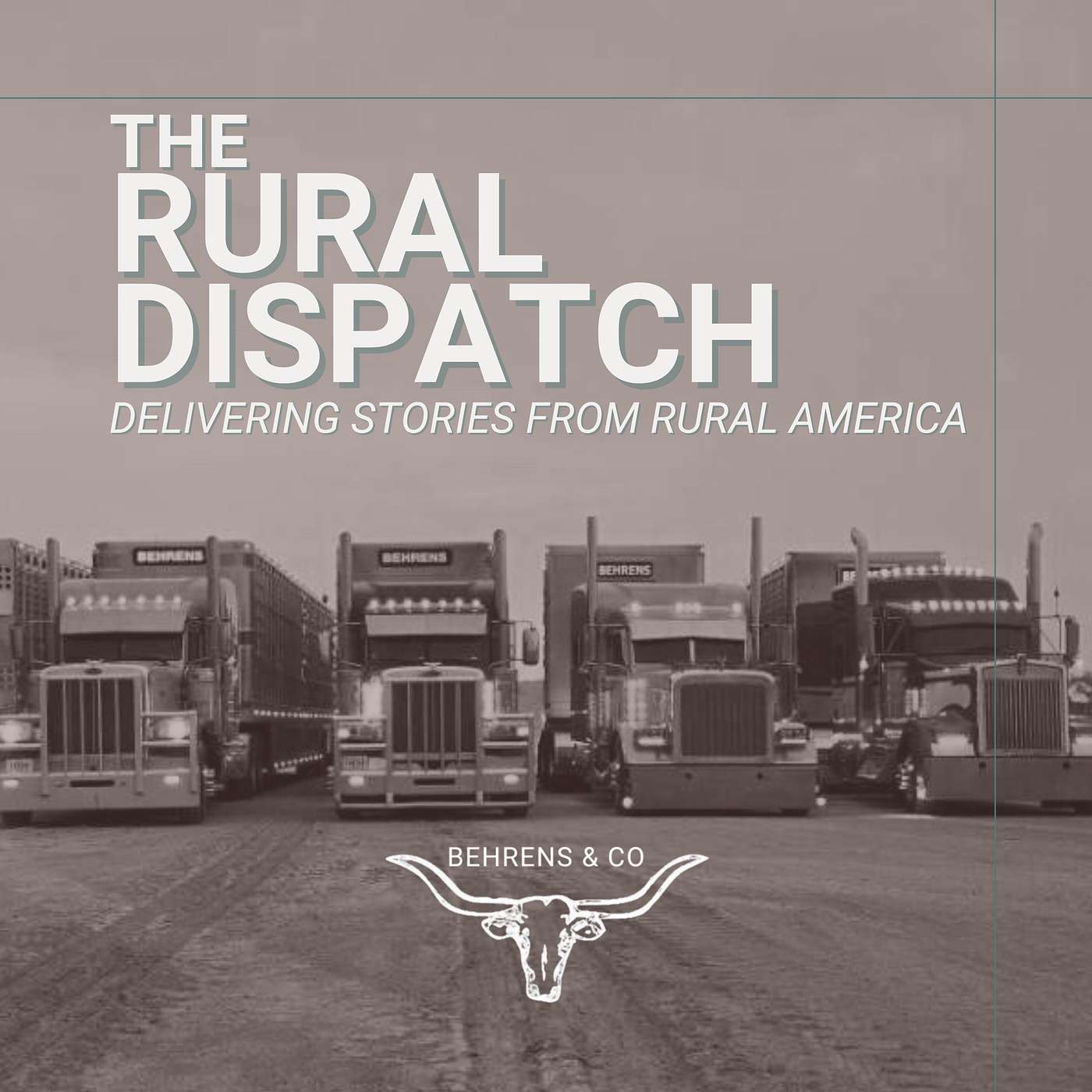 How Livestock Haulers Get Started: First Load Stories & Lessons from the Road