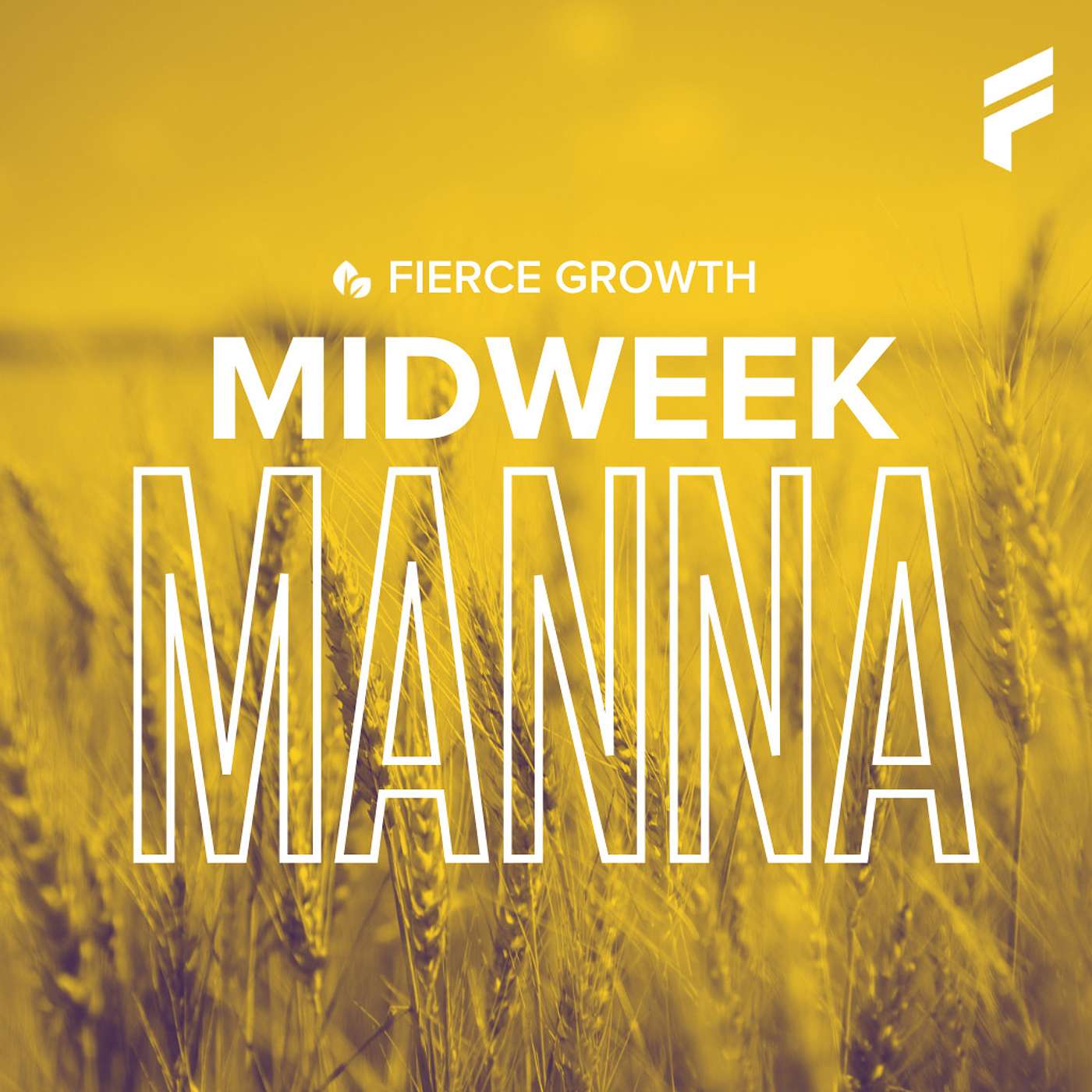 Midweek Manna: You Don't Need to be a Visionary to Fulfill God's Vision