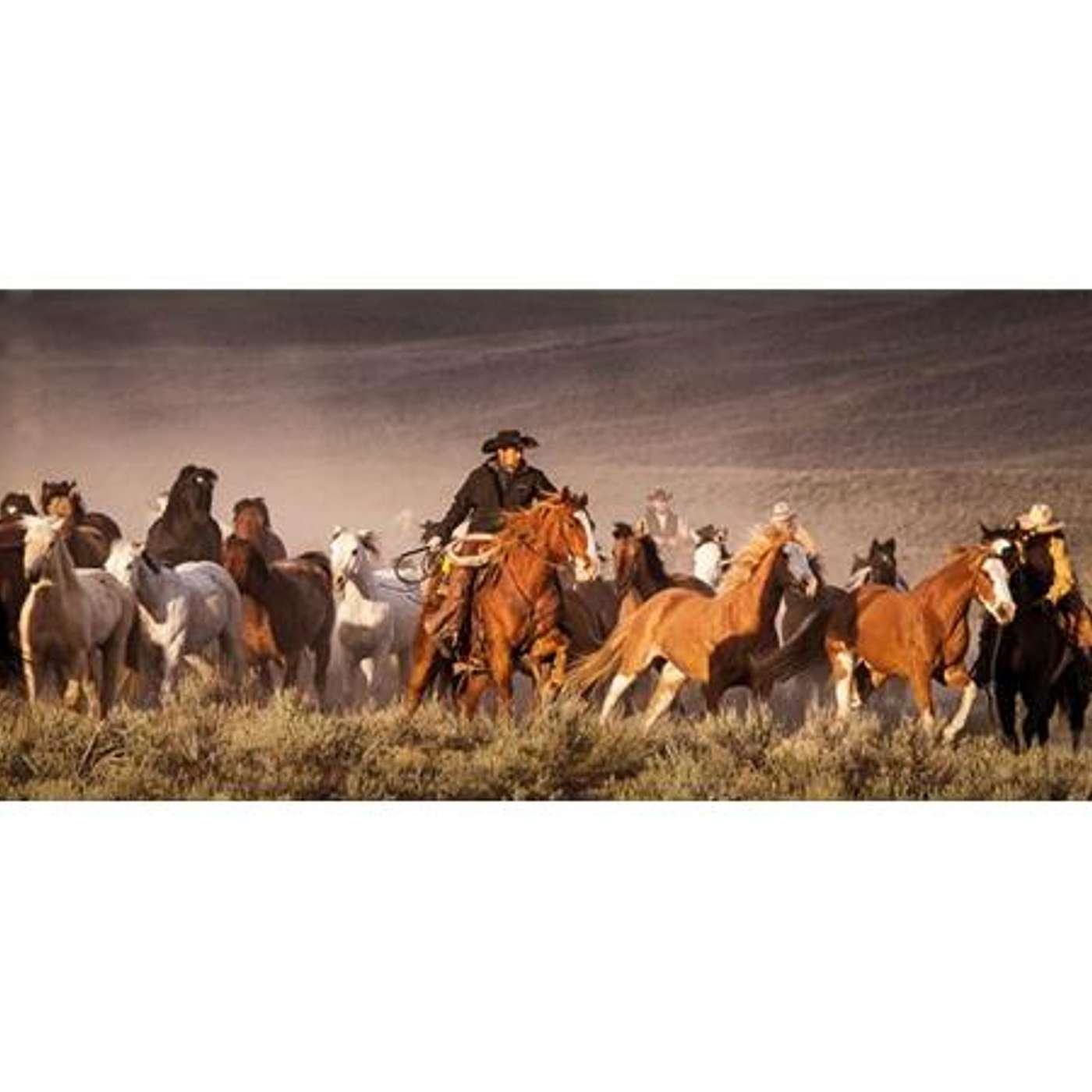 THE LARGEST HORSE DRIVE IN NORTH AMERICA on EQUESTRIAN LEGACY RADIO
