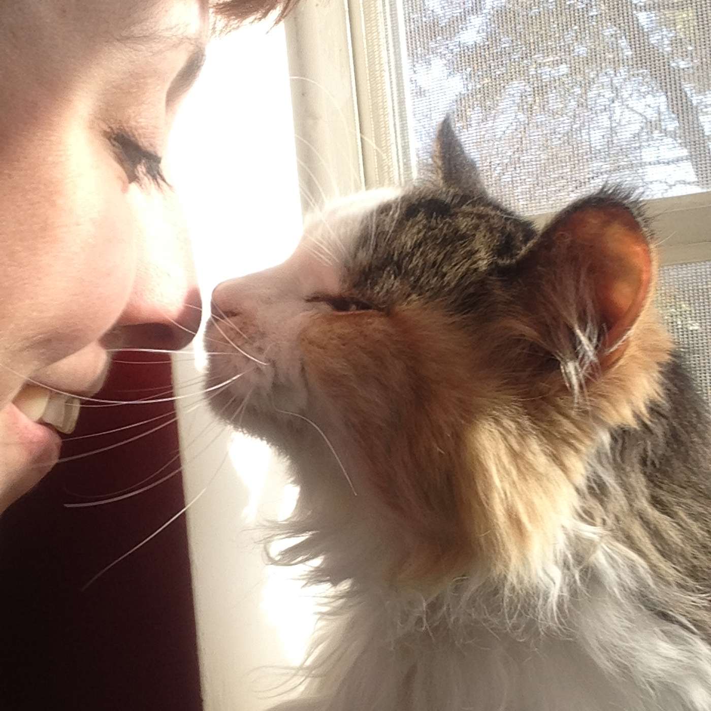 Pet Grief