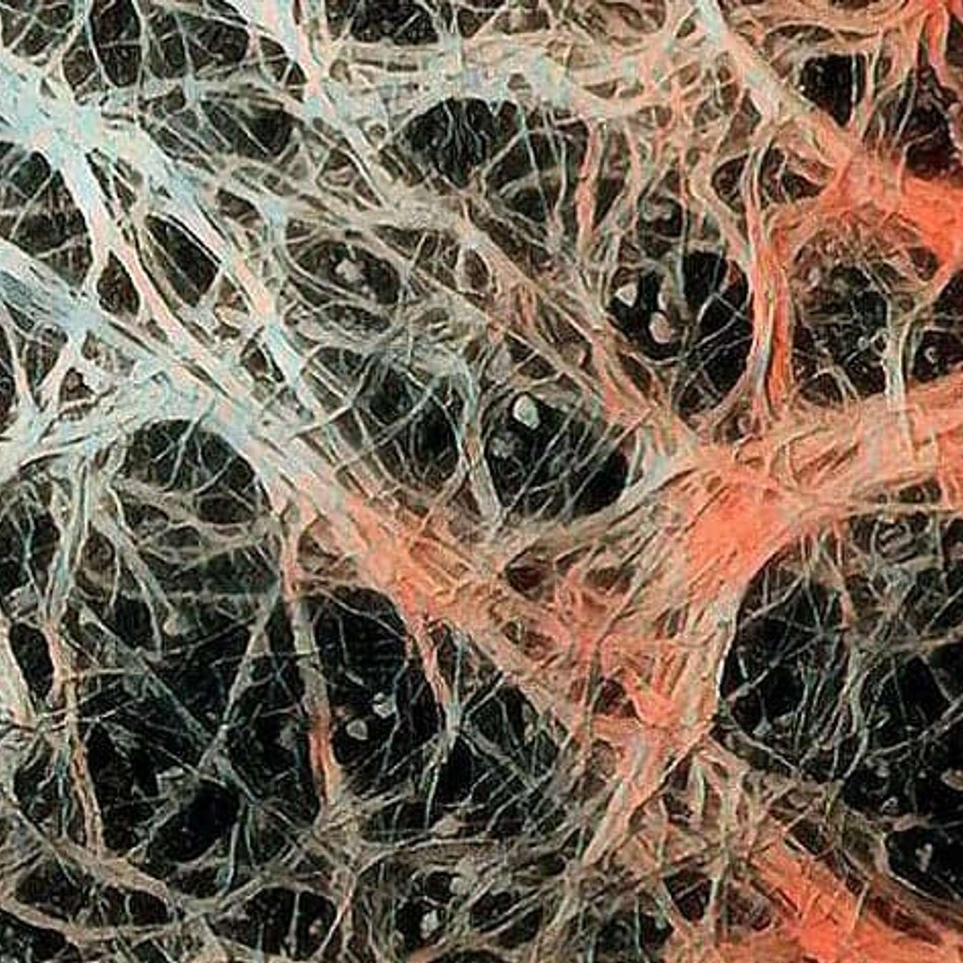 Getting the wrinkles out of your performance and health: Fascia the overlooked key to your life episode artwork