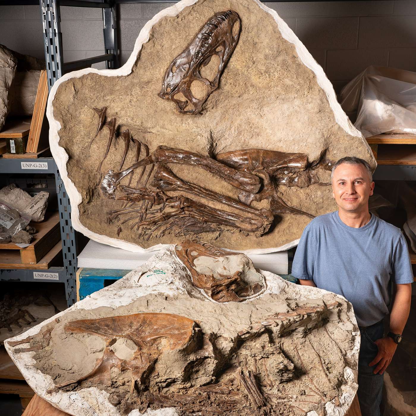2026 – François Therrien, Ph.D. – Curator of Dinosaur Palaeoecology at the Royal Tyrell Museum