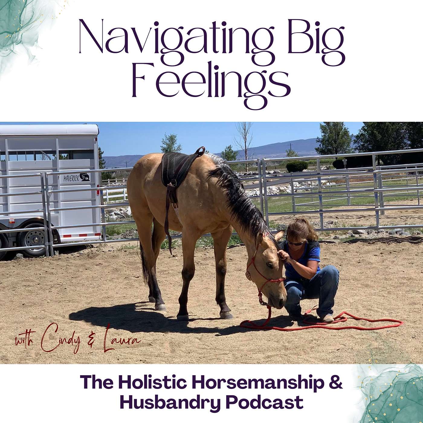 The Holistic Horsemanship and Husbandry Podcast