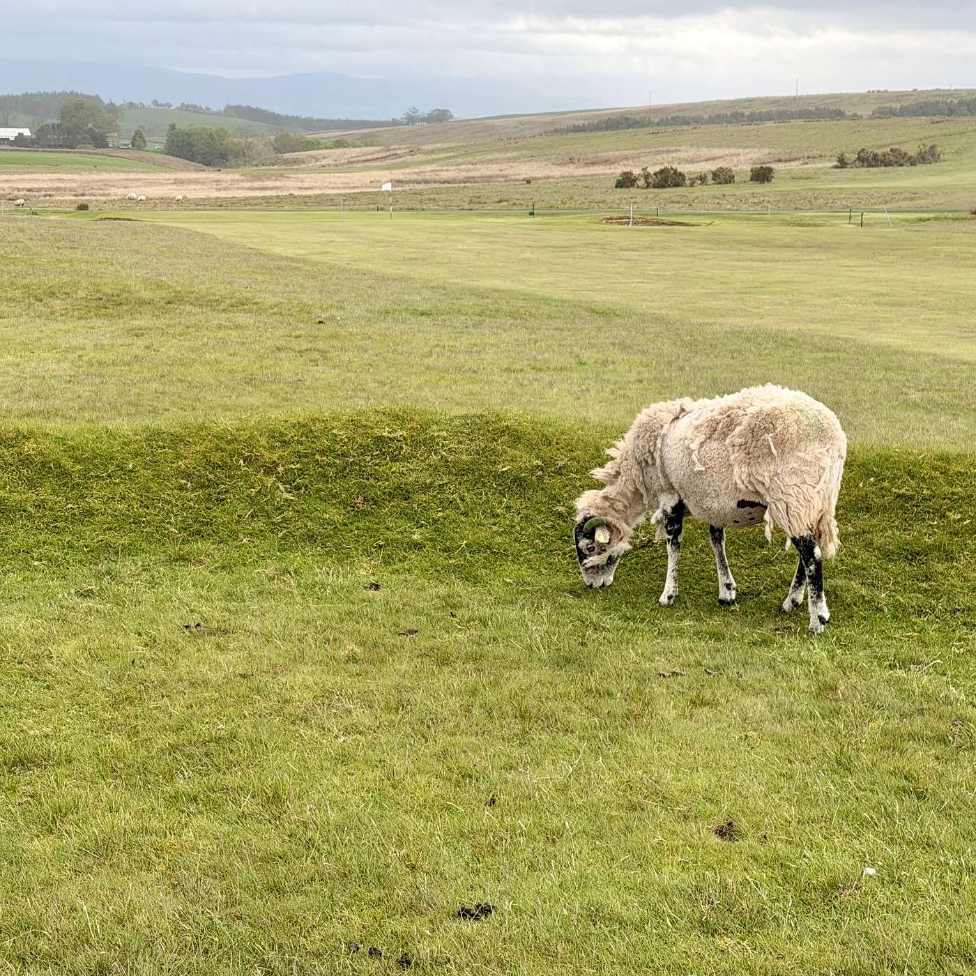 Appleby, Cumbria, England