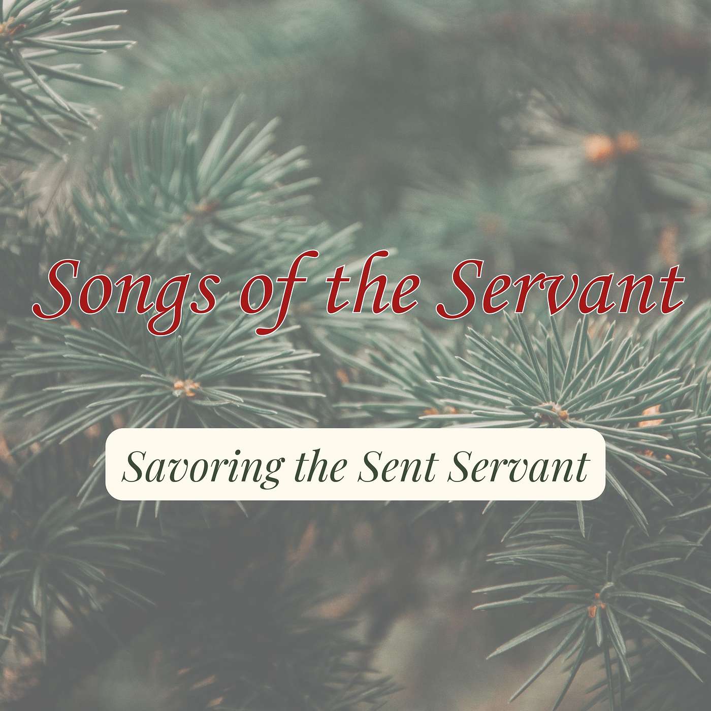 Alexandria Presbyterian Church Sermons