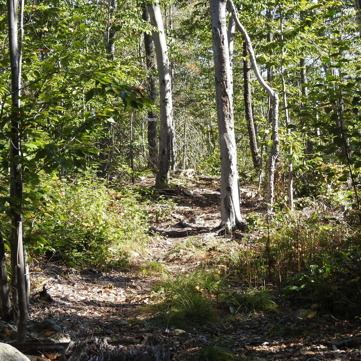 WORKING ON THE TRAILS