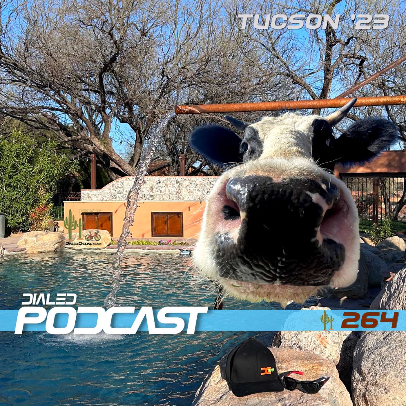Dialed Podcast 264 - On location at our 2023 team cycling camp in Tucson, AZ episode artwork