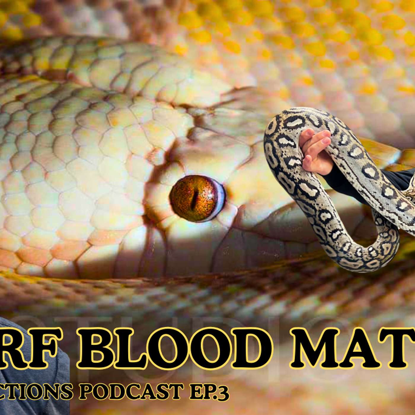 Why Retic Size Is Hard To Predict - And Why Dwarf Blood Matters | Retic Reflections Ep.3 (Live)