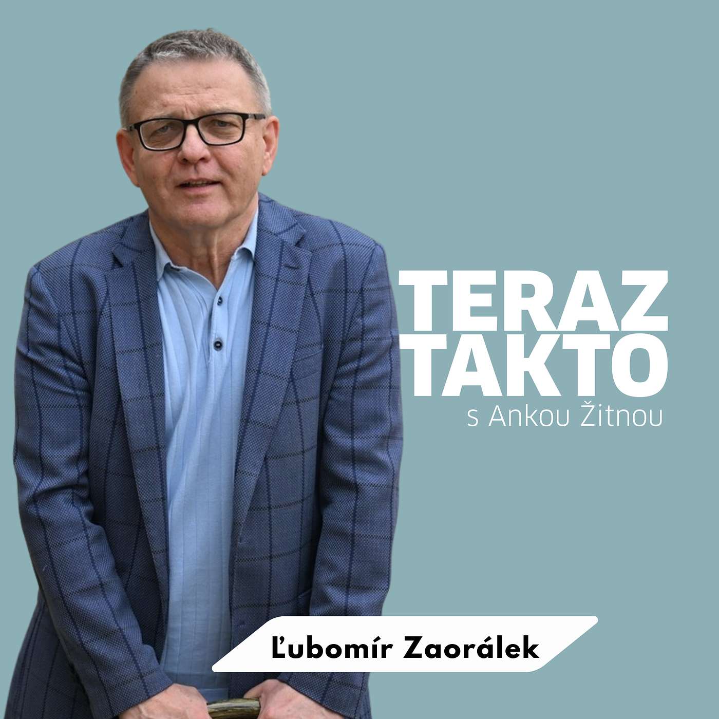Lubomír Zaorálek:Zelenského systém sa rozpadá, vojna sa skončí episode artwork