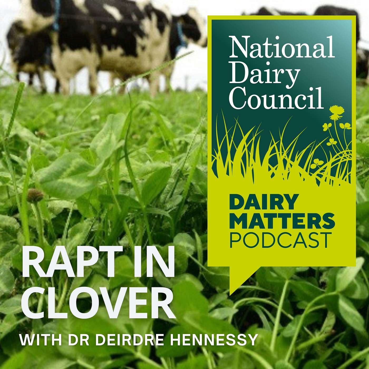 Dairy Matters