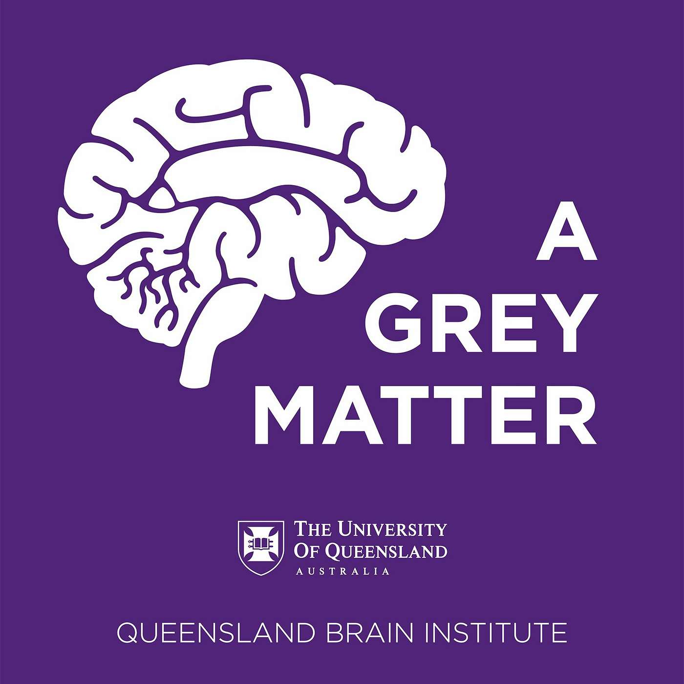 A Grey Matter