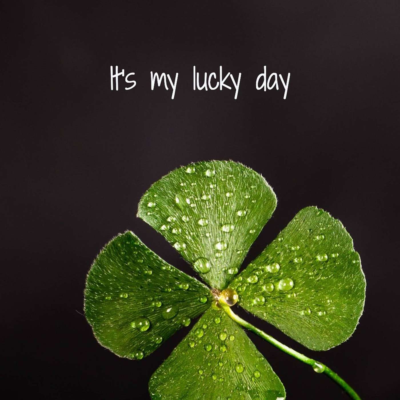 #79 It's my lucky day episode artwork