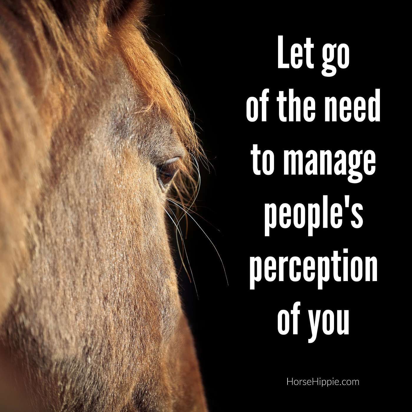 Be OK With Being Misunderstood