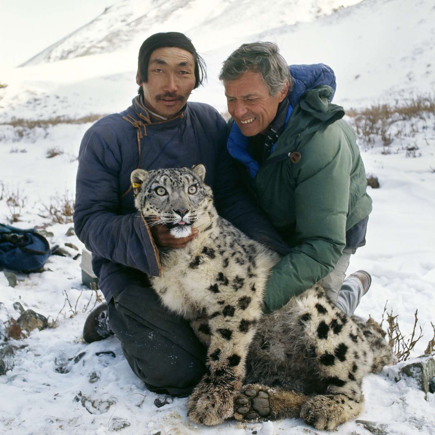 Mammalwatching