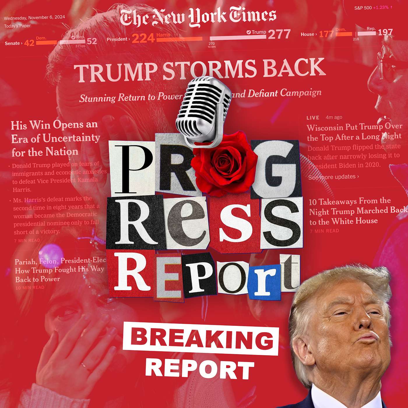 Progress Report