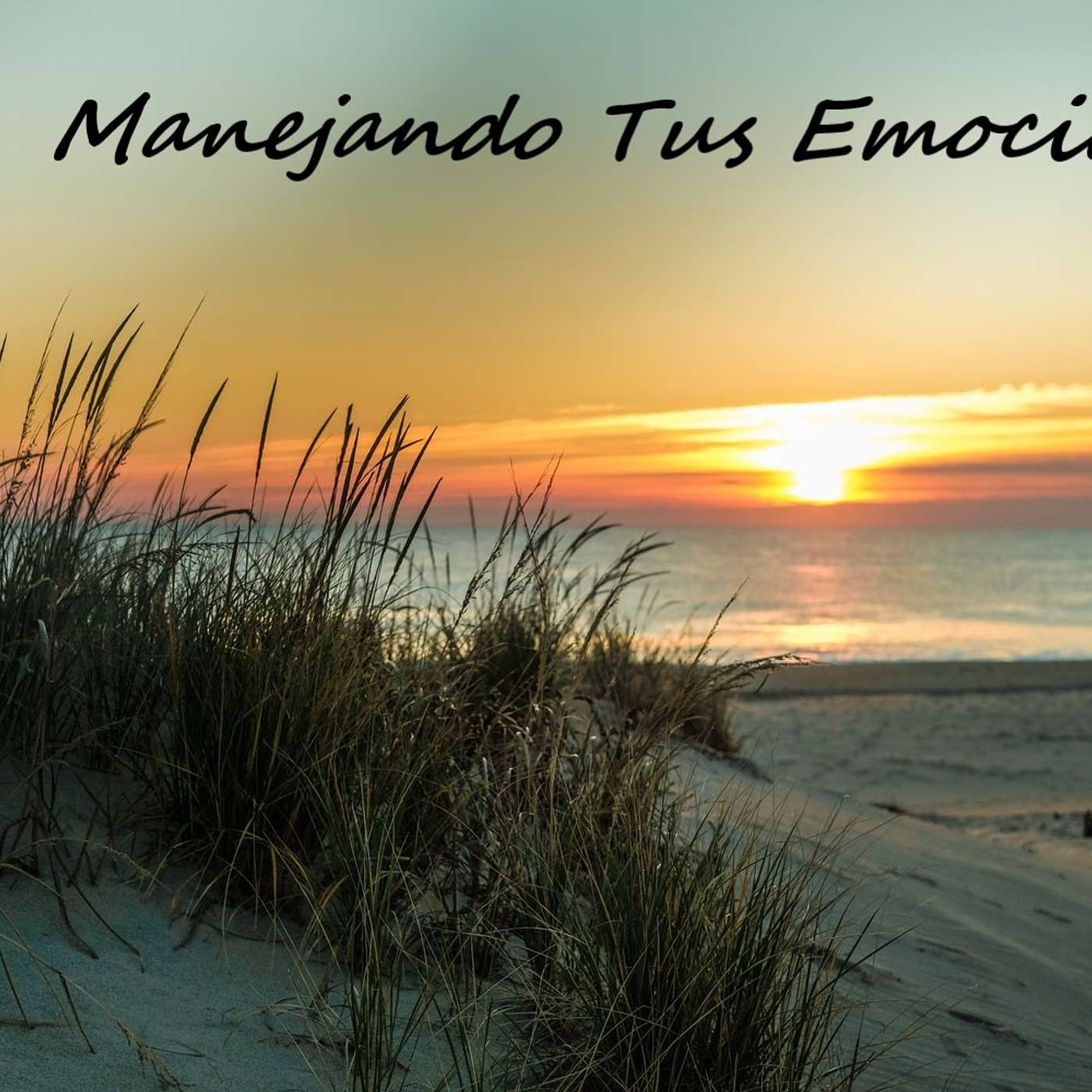 Manejando Tus Emociones