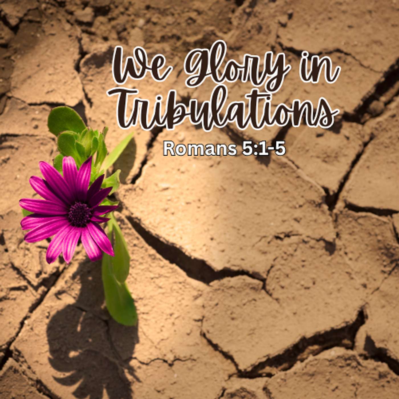We Glory in Tribulations
