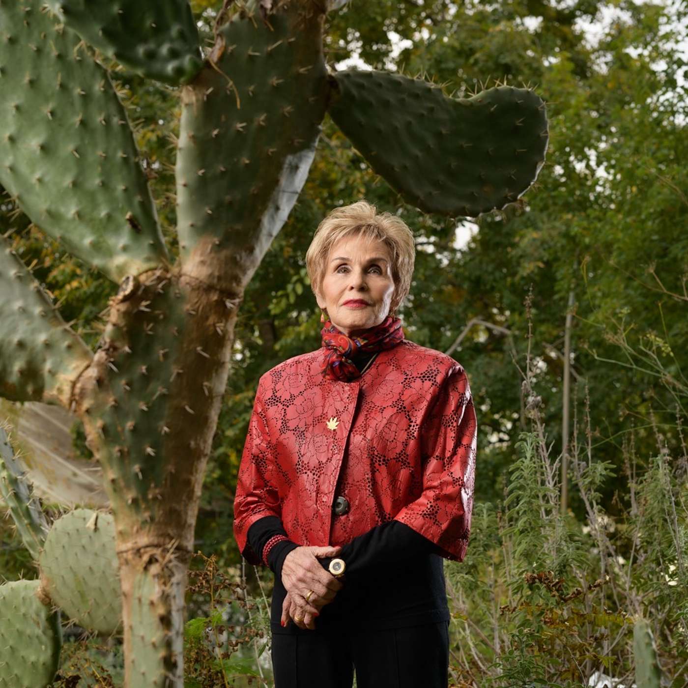 זוהרה וצמחי המרפא