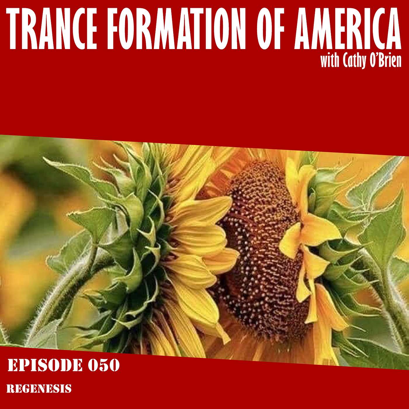 Trance Formation Podcast