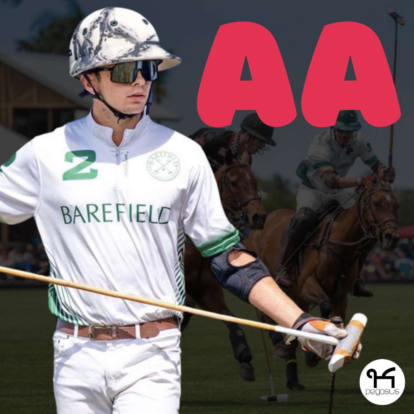 Professional polo player Agustin Arellano explains how the sport, business and 'scene' works!