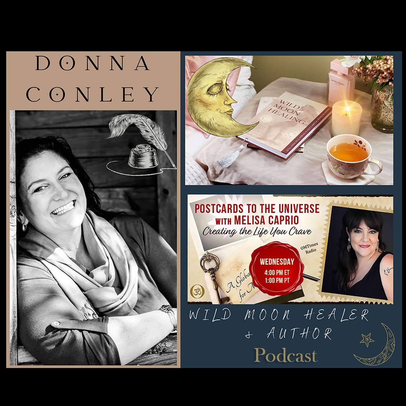 Conversation with Author Donna Conley - Wild Moon Healing