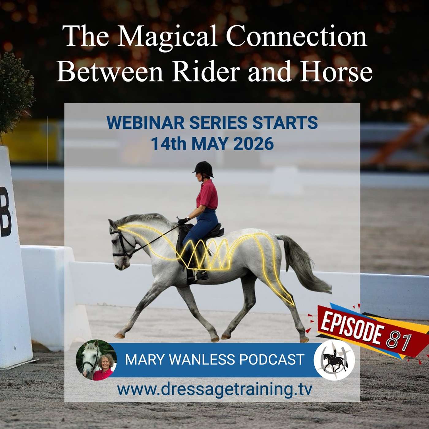 Ep. 81 The Magical Connection Between Rider And Horse