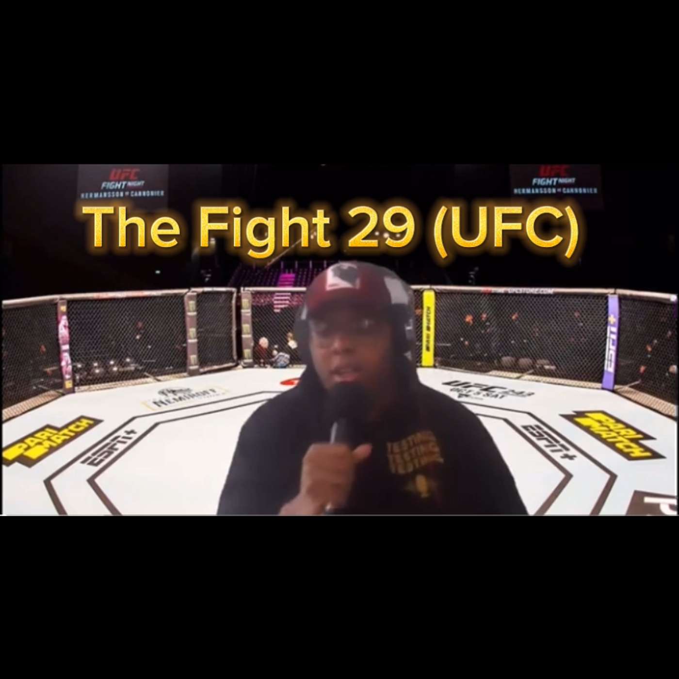 LNTN The Fight 29 🥊 (UFC)