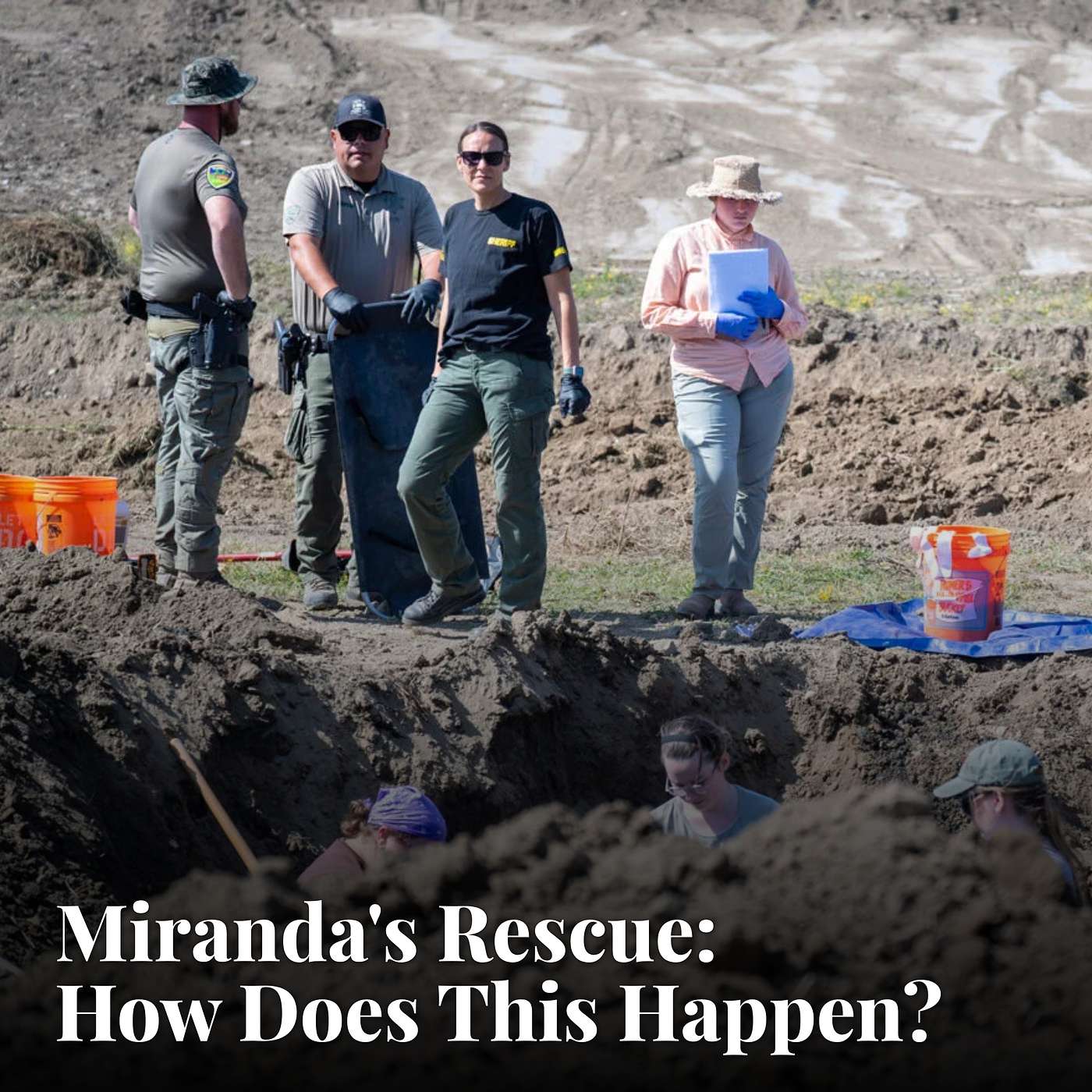 The Miranda's Rescue Case: How Does This Happen? episode artwork