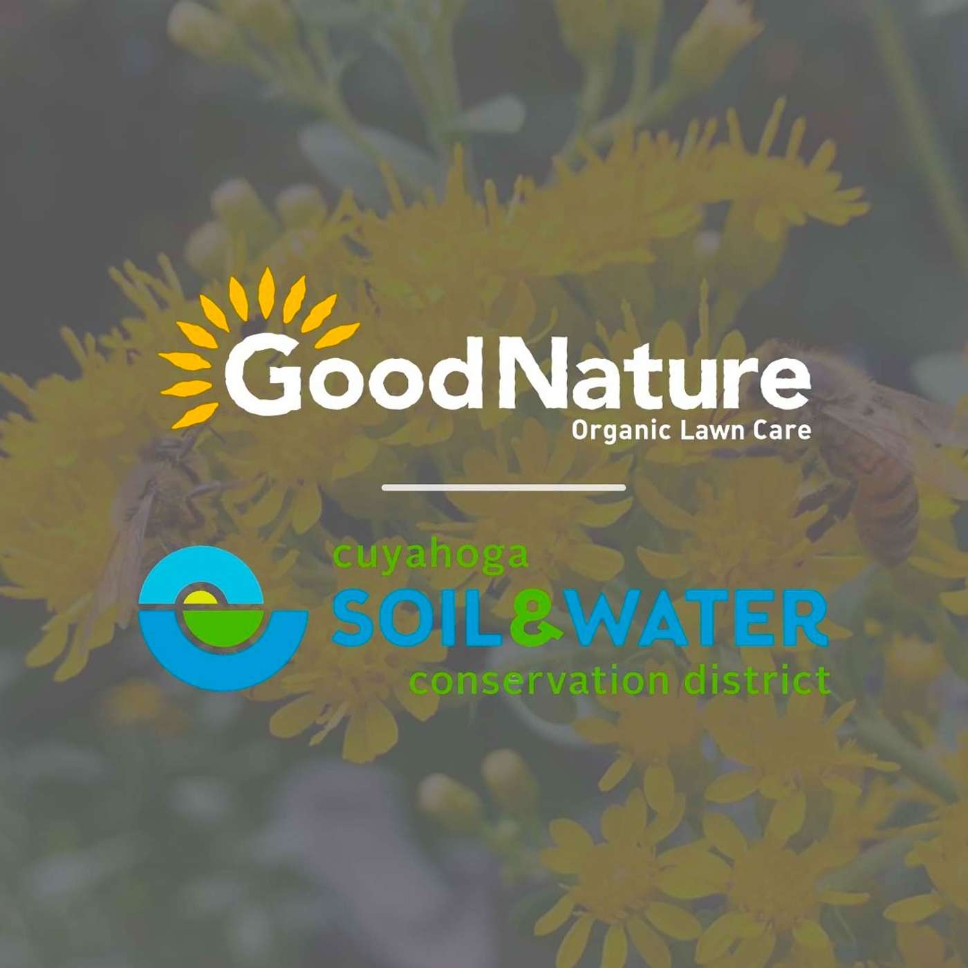 Go Native! Good Natured Ways to Prep Lawns and Landscapes for Spring