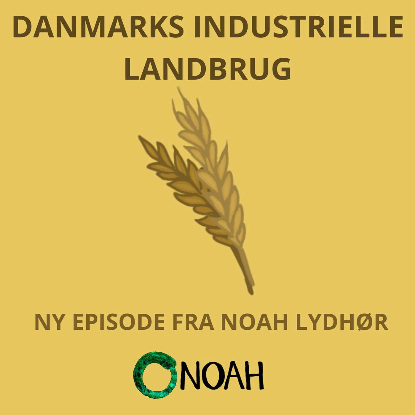 Jord i Hovedet