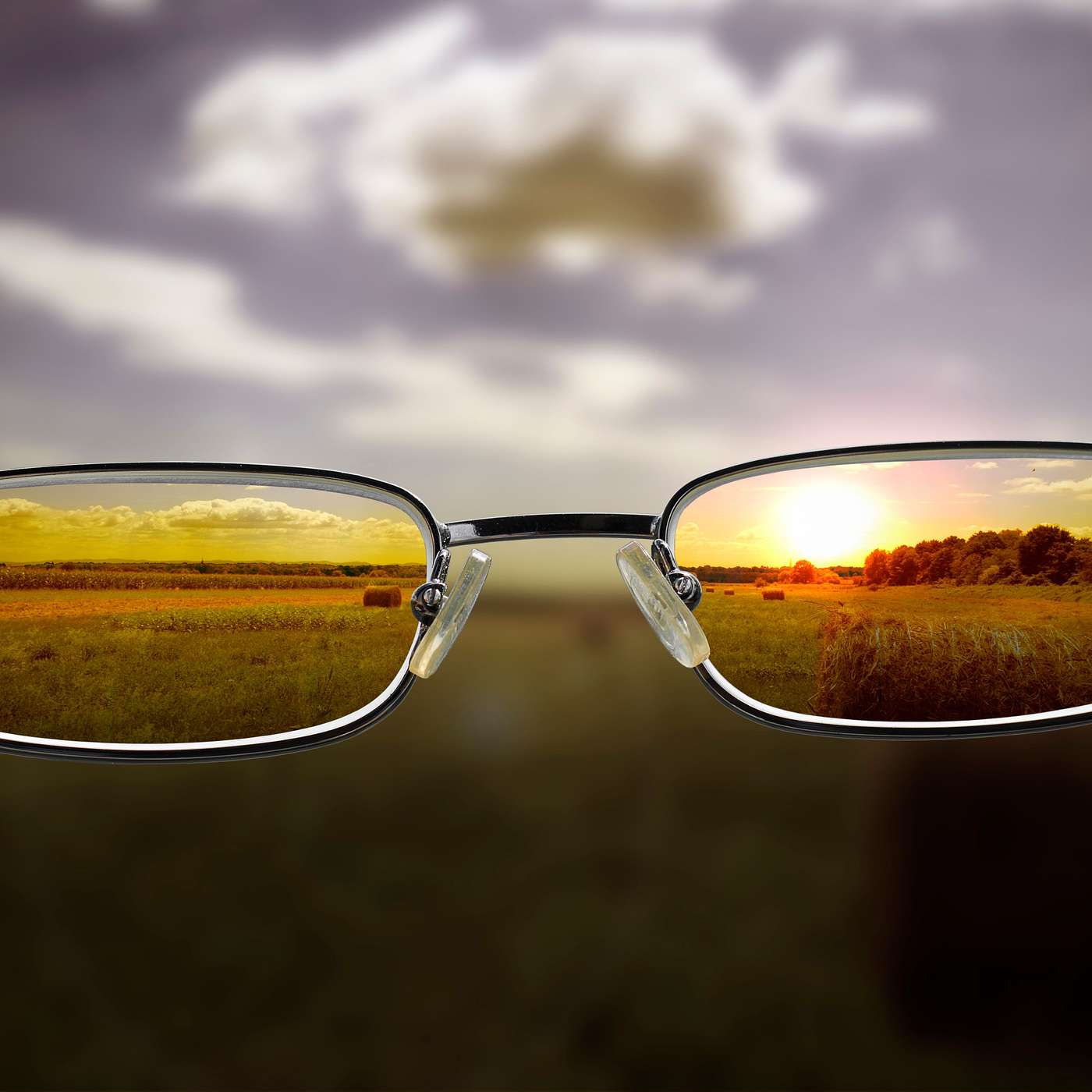250. Seeing Things From a Fresh Perspective